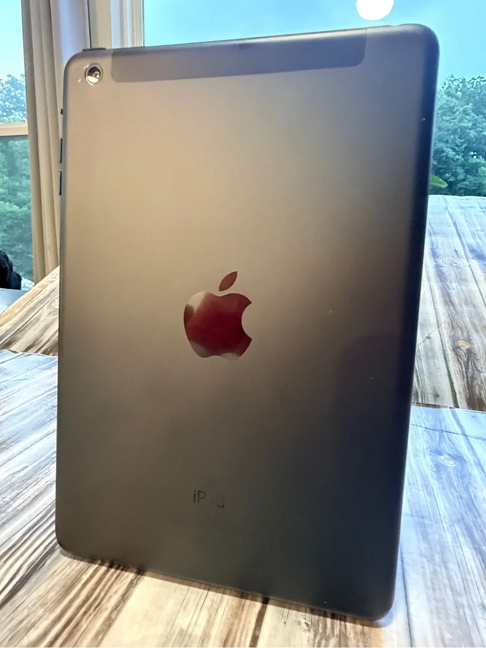 Apple iPad mini 4 in space gray 128gb